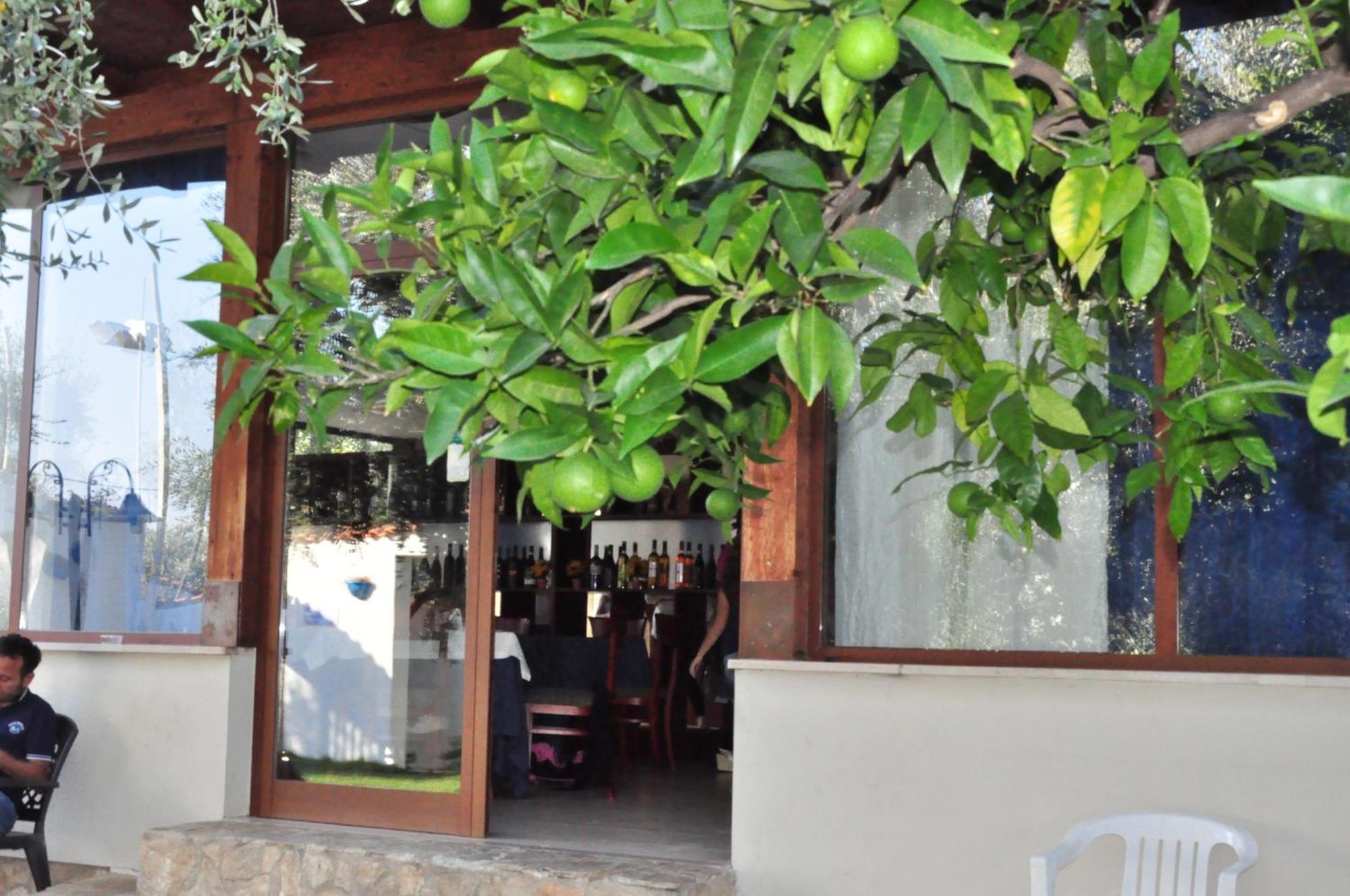 Hotel Il Melograno Mattinata Exterior photo